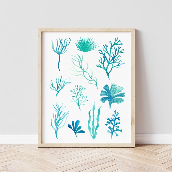 Seaweed Coastal Illustrated Art Print