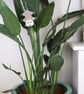 Hanging opossum plant decoration, crazy plant lady gift, cute animal decor. - Image 7
