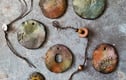 Rockpool Inspired Pendants