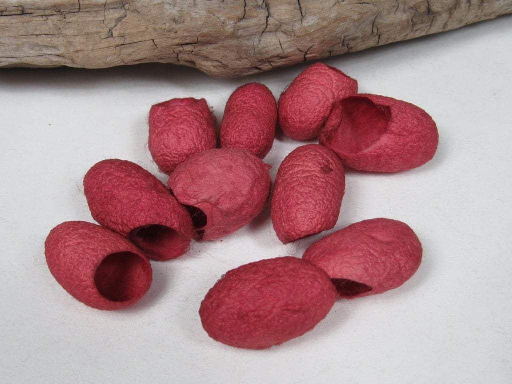 10 Brazilwood Red Naturally Dyed Silk Cocoons
