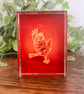 Little Wren Phoenix Gift Set - Image 9