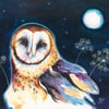 Moonlight Barn Owl A5 Print