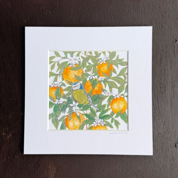 'Orange Blossom' 8" x 8" Mounted Print