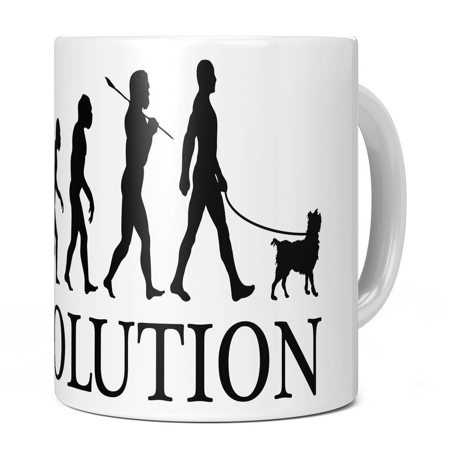 Brussels Griffon Evolution 11oz Coffee Mug Cup - Perfect Birthday Gift for Him o