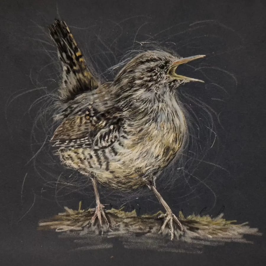 Wren, a signed print of an original drawing Folksy