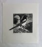 Magpie
