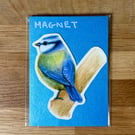 Blue Tit Fridge Magnet