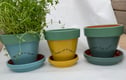 Kitchen Pots