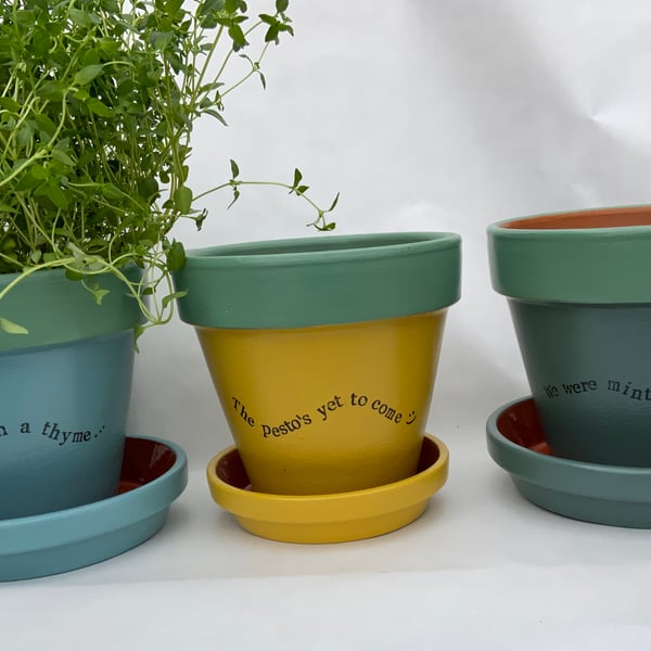 A Unique Trio of Hand Painted Kitchen Herb Plant Pots with Saucers