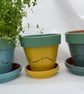 A Unique Trio of Hand Painted Kitchen Herb Plant Pots with Saucers