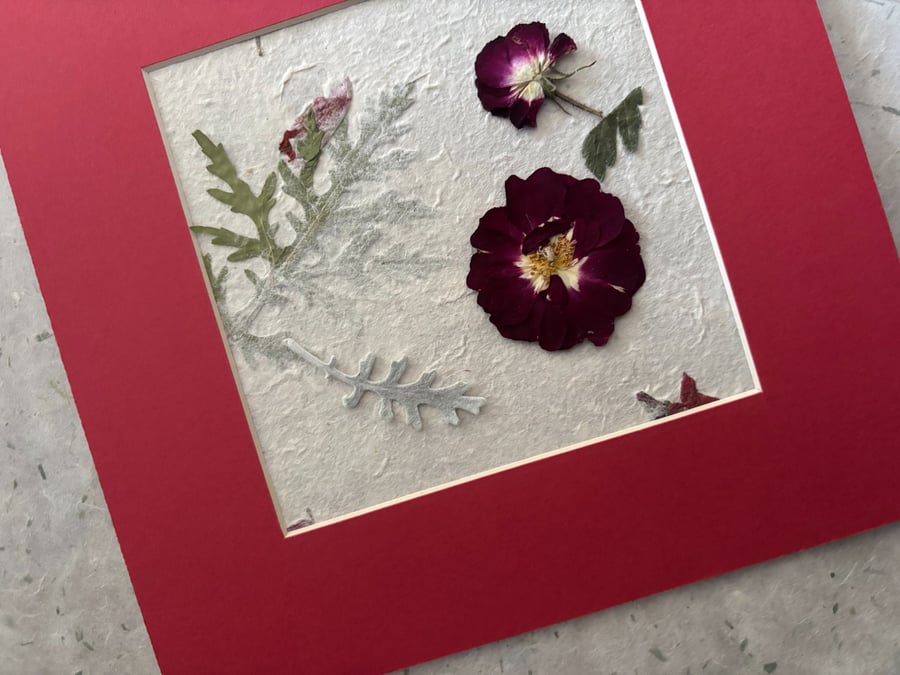 Original Pressed Flower Picture Deep Red Mount
