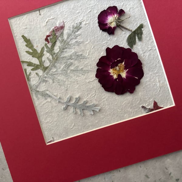 Original Pressed Flower Picture Deep Red Mount