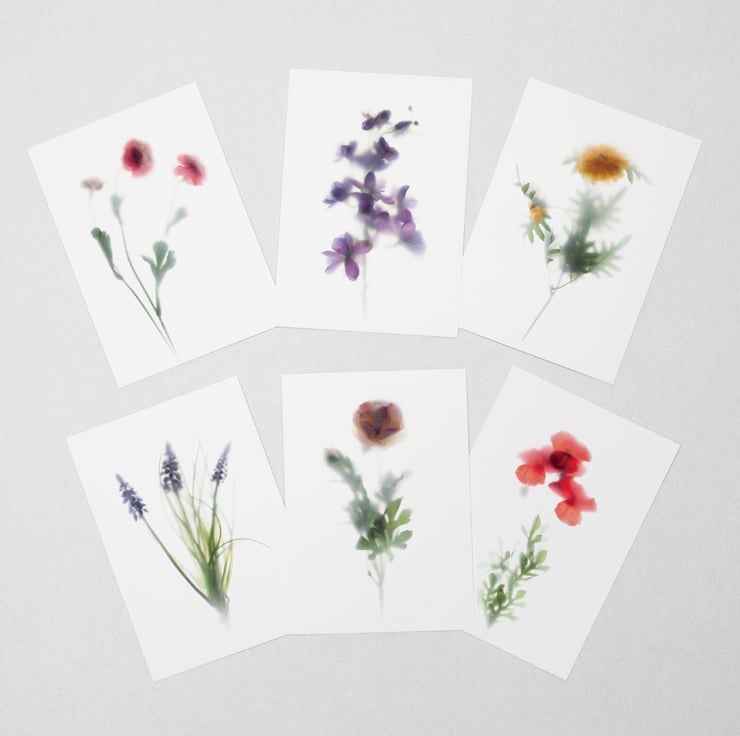 Set of 12 floral postcard with assorted flowers - Folksy