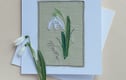 Mothers Day Cards
