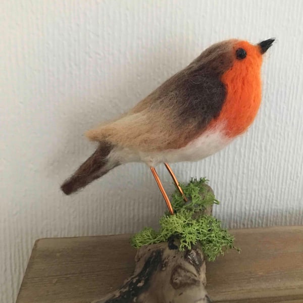 Robin on a driftwood branch 