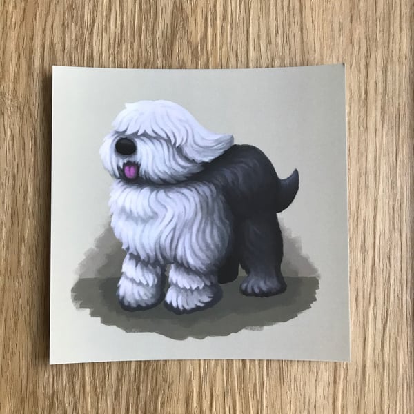 Old English Sheepdog Square Post Card Print