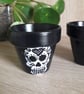 Pair of small terracotta plant pots hand drawn with decorative skulls.   - Image 5