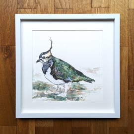 Lapwing Original Watercolour Painting 