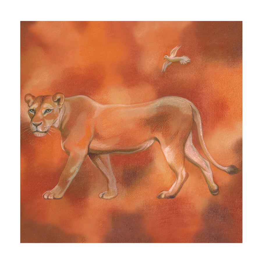 Lioness Giclee Art print 