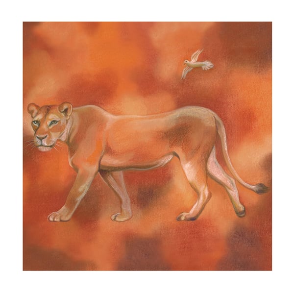 Lioness Giclee Art print 