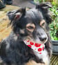 Scrunchie Dog and Cat Bandana - "Poppy Paws", 100% Cotton, Stylish Pet Accessory