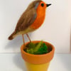 Robin-needle felted-bird