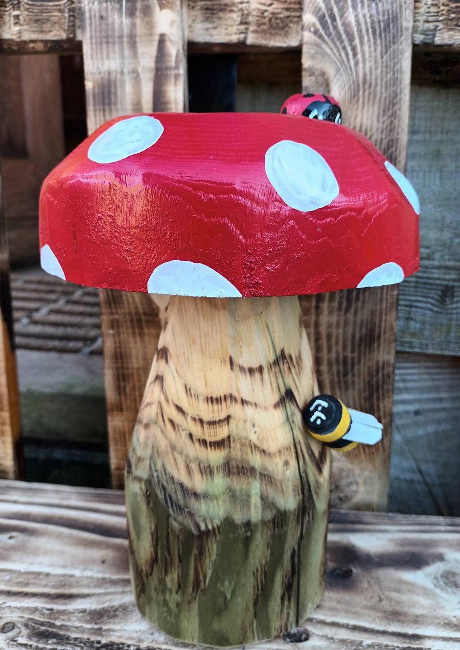 Flat top Toadstool (A)
