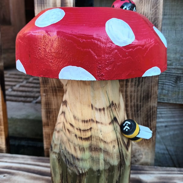 Flat top Toadstool (A)