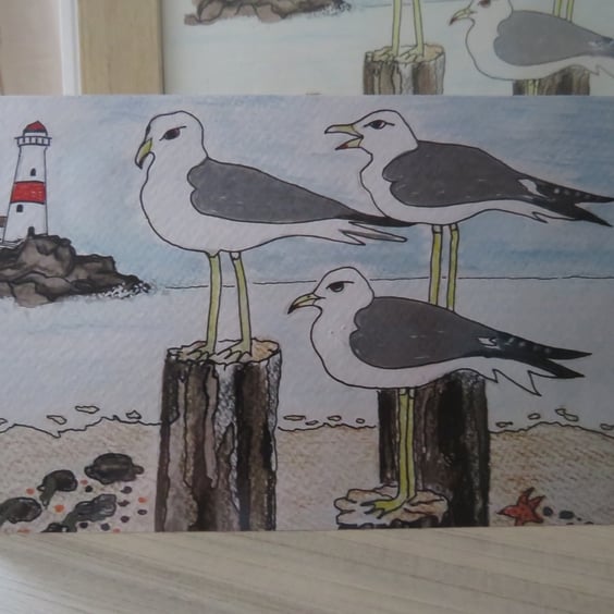 Seagull greetings card 