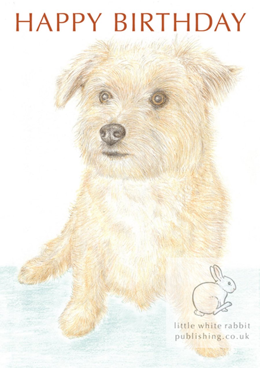 Muffin the Little Dog - Birthday Card