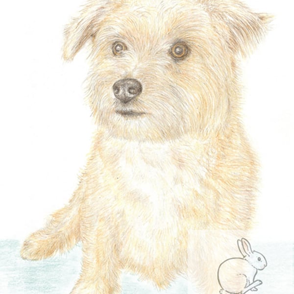 Muffin the Little Dog - Birthday Card