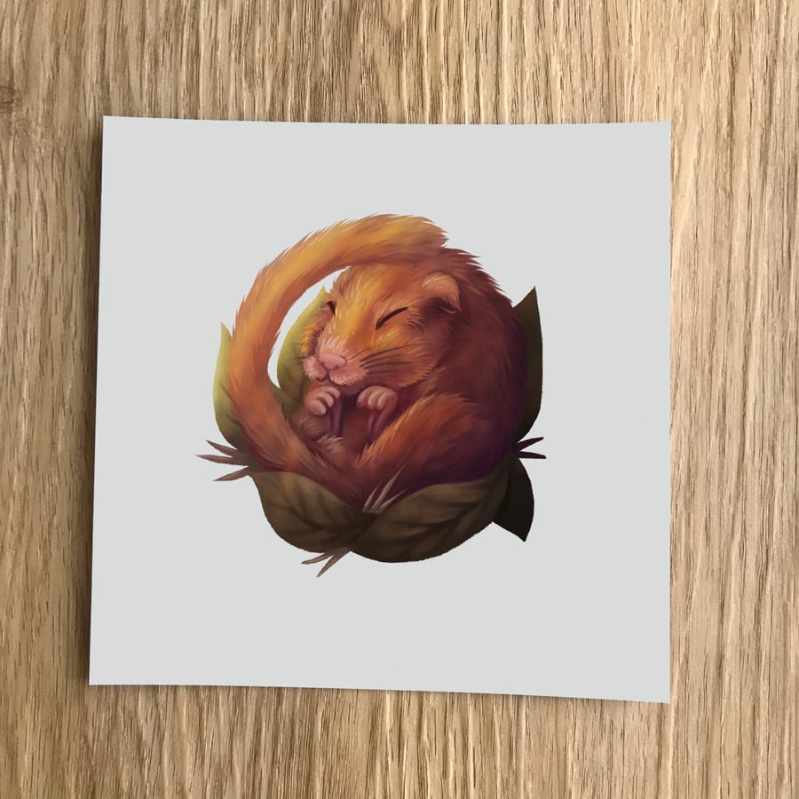 Dormouse Square Post Card Print