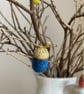 Blue Winter Acorn  - Image 2