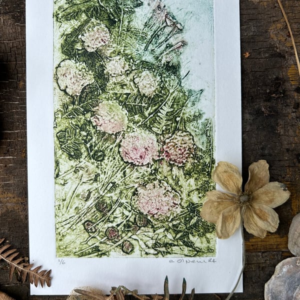 Cornish Hedgerow - Original Collagraph Print