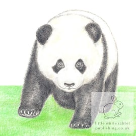 Giant Panda - Blank Card