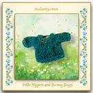 Little Nippers and Bunny Hugs Teal Jumper