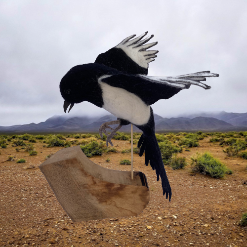 Needle felted Magpie in flight