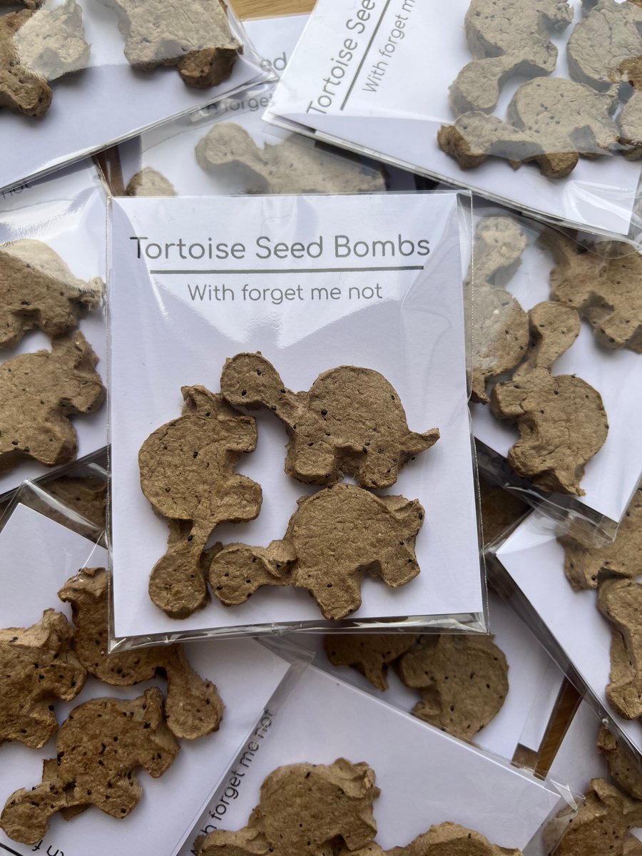 Tortoise shaped seeds bombs to remember loved ones