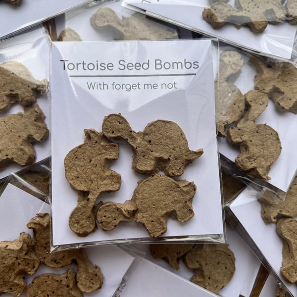 Tortoise shaped seeds bombs to remember loved ones