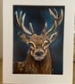 Stag Mounted Art Print 