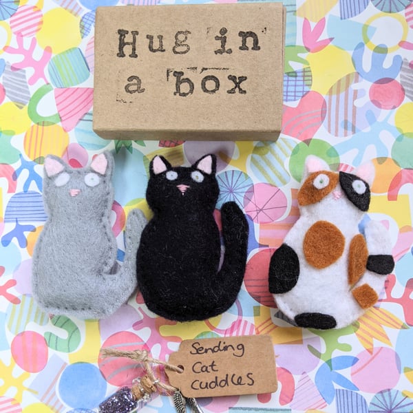 Cat, hug in a box, black cat, grey cat, calico cat, cat gift 