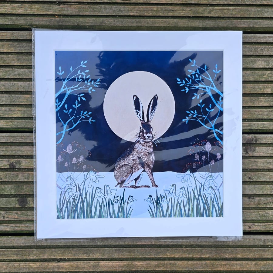 Hare & Snowdrops Giclee Print