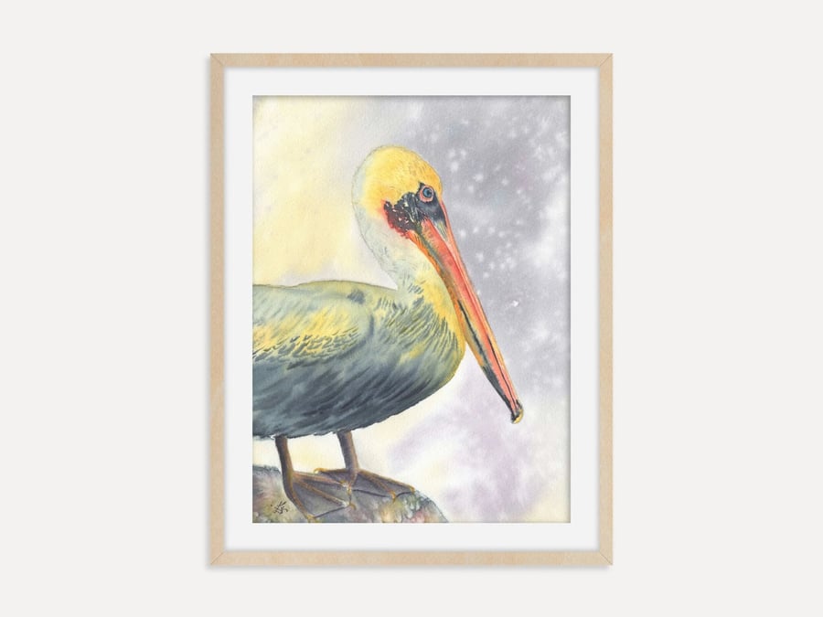 Brown Pelican Art Print, Coastal Bird Wall Art, Wildlife Bird Illustration