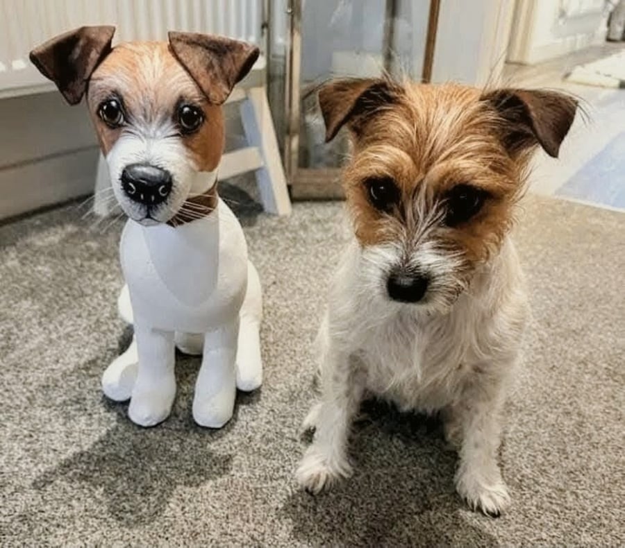 Fully personalised Terriers