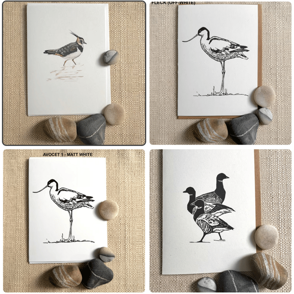 x4 Greetings Card Pack - Birds