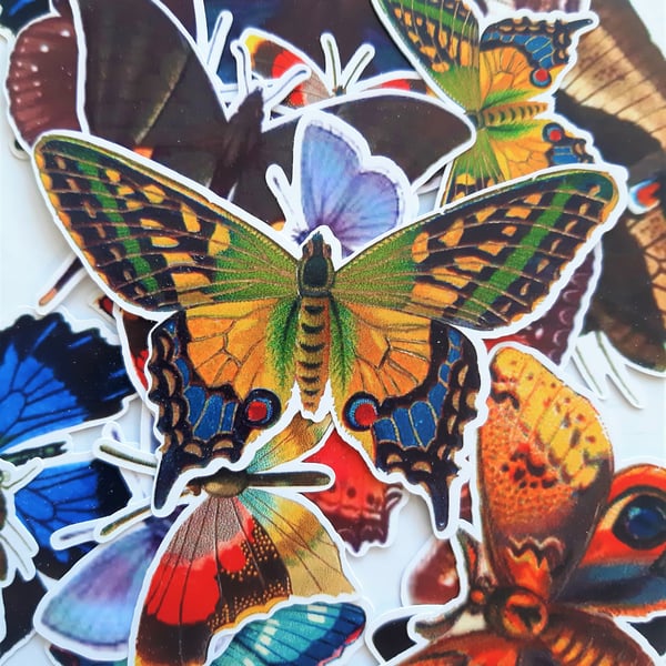 Printed ephemera, vintage butterflies and moths