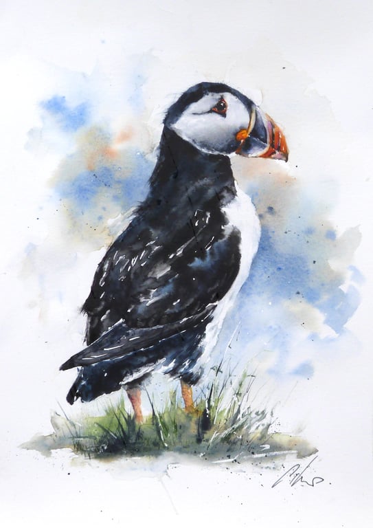A Puffin, Original Watercolour Painting.