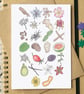 Gin Botanicals Alphabet Card - Image 1