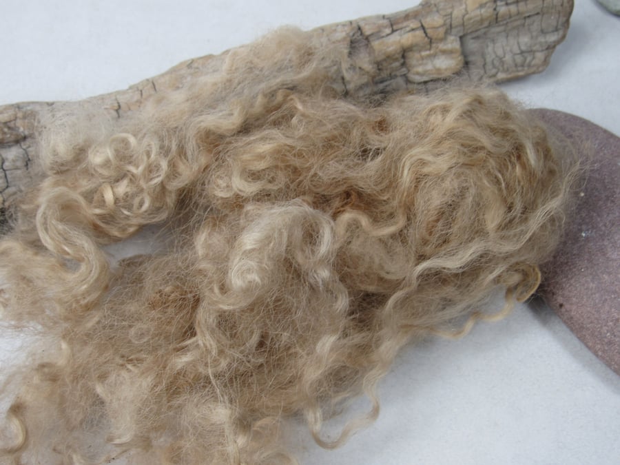 10g Naturally Dyed Walnut Brown Masham Felting Wool