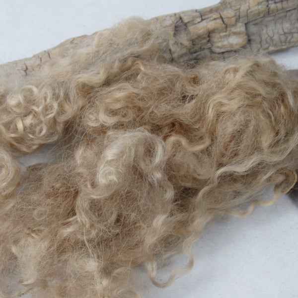 10g Naturally Dyed Walnut Brown Masham Felting Wool